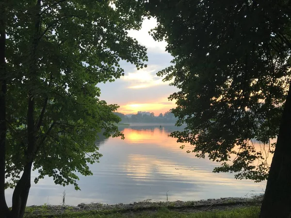 Walk Pond — Stock Photo, Image