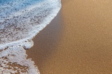 Deniz sahilinde sörf dalgası. Arka plan ya da doku olarak ıslak kum ve deniz köpüğü. Metin için bir yer var.