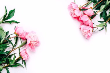 Beyaz arkaplanda yazı için yeri olan pembe şakayık çiçekleri çerçevesi. Düz yatış, üst görünüm.