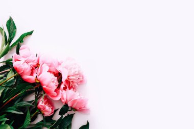 Beyaz arkaplanda yazı için yeri olan pembe şakayık çiçekleri çerçevesi. Düz yatış, üst görünüm.