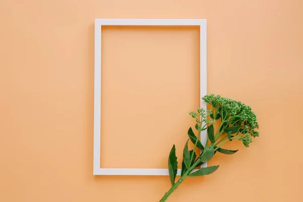 Leerer Bilderrahmen mit grünen Blättern auf pfirsichfarbenem Hintergrund, Draufsicht — Stockfoto