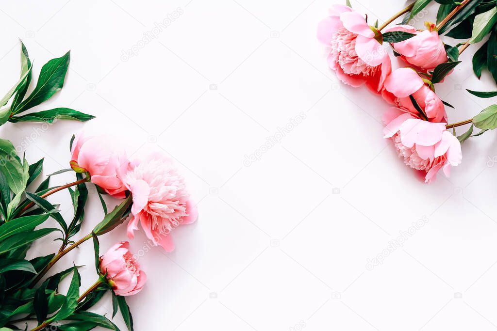 Frame of pink peony flowers on white background. Flat lay, top view.
