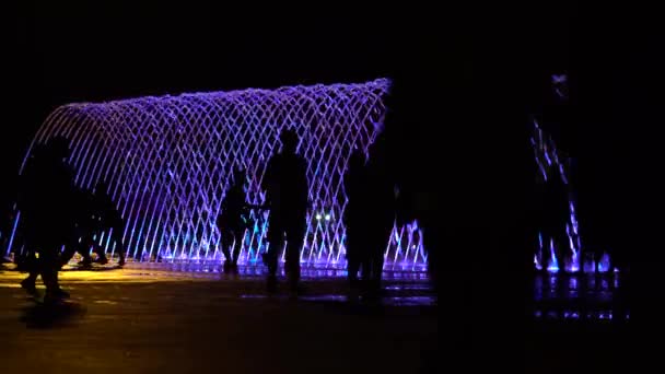 Silhouetten Menschen Gegen Helle Fontänen Bei Lichtshow Der Nacht — Stockvideo