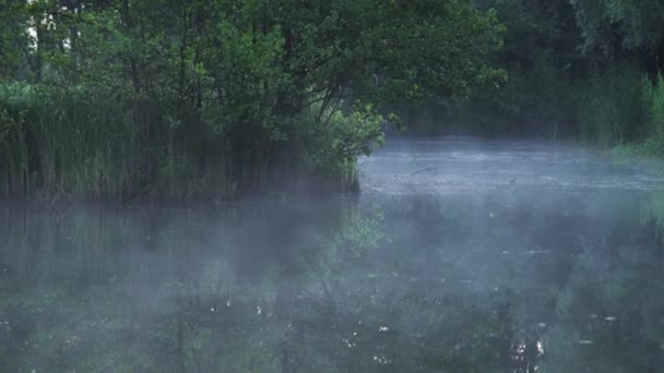 Ráno Mlha Nad Křišťálově Čistým Jezerem — Stock video