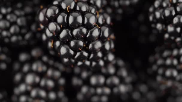 Чорничний Фон Ковдрою Свіжі Зрілі Органічні Чорні Ягоди Обертаються Зблизька — стокове відео