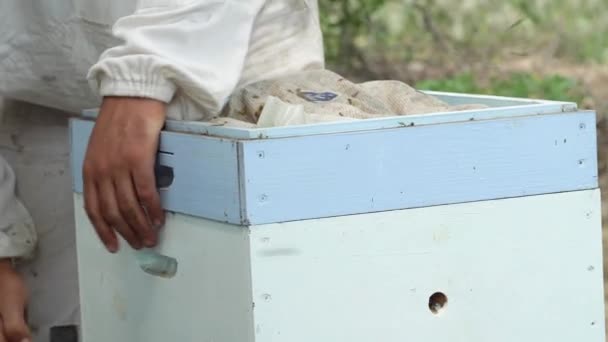 Imker öffnet den Bienenstock, raucht die Bienen vom Raucher an. Imker im Schutzanzug arbeitet in einem Bienenhaus. 4k, — Stockvideo