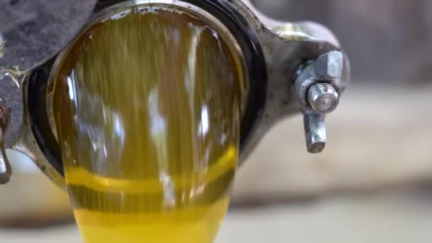 Apicultor vira a alça do extrator de mel e um fluxo de mel flui. Apicultor bombeia mel no apiário, um produto ambientalmente amigável. 4k , — Vídeo de Stock
