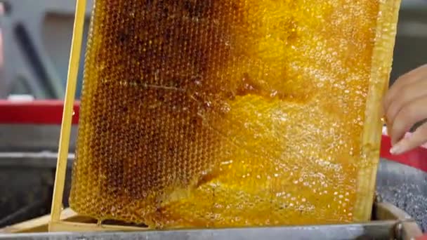 Apicultor vira a alça do extrator de mel e uma corrente de mel fresco derrama. Processo de bombeamento de mel, eco-produto natural. 4k — Vídeo de Stock