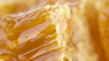 Bal Kalın Bal Damlıyor Bal Tarağından