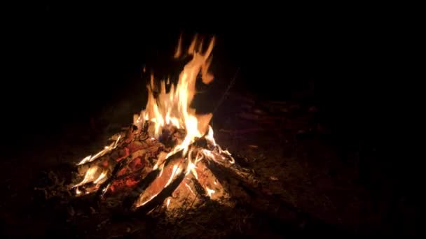 Fuego ardiente. Hoguera. Primer plano de llamas quemando imágenes de fondo de efecto de cámara lenta gráficos en movimiento, o como fondo o superposición 4K — Vídeos de Stock