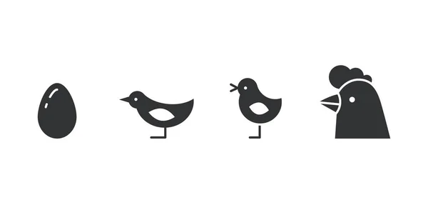 Silhouettes of chicken growth stages from egg to adult bird Royalty Free Stock Illustrations