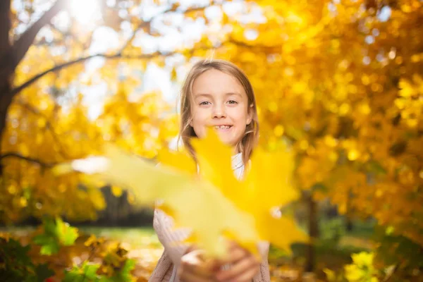 Obraz dziewczynka w lesie jesienią — Zdjęcie stockowe