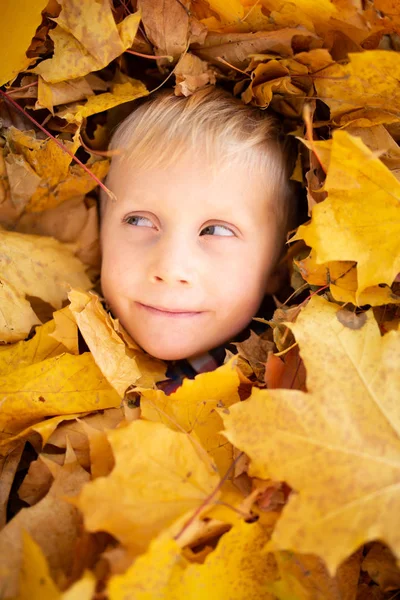 黄色の葉の間で陽気な少年顔のイメージ — ストック写真