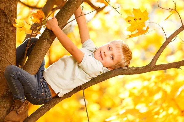 Sonbaharda ağaç üzerinde oturan çocuk imajının — Stok fotoğraf