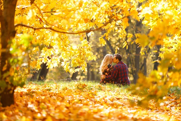 Foto ze zadní strany mladý pár v lásce v lese — Stock fotografie