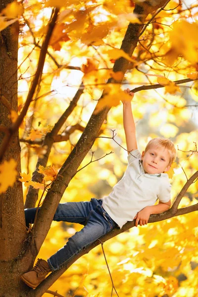 Sonbahar Park ağaç üzerinde oturan çocuk imajının — Stok fotoğraf