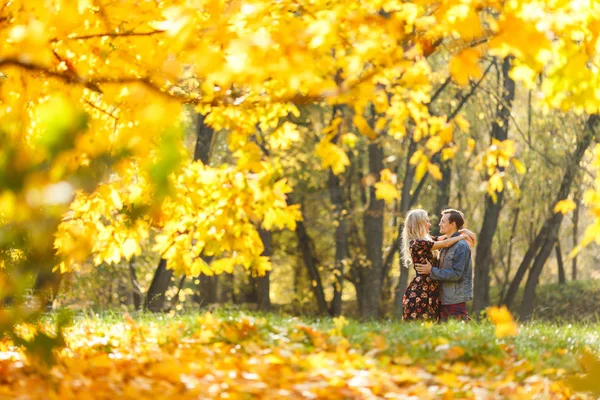 Bild vom Rücken eines verliebten Paares, das auf Gras im herbstlichen Wald zwischen Bäumen sitzt — Stockfoto