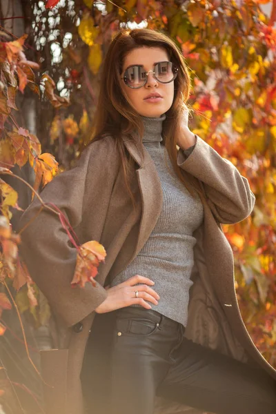 Foto av långhårig brunett i solglasögon på bakgrund av höstträd — Stockfoto