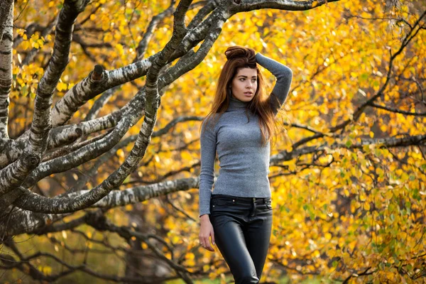 Foto de la joven morena mirando al lado en el bosque de otoño —  Fotos de Stock