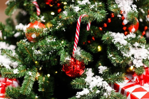 Εικόνα του Χριστουγεννιάτικου δέντρου με κόκκινες μπάλες, καραμέλα καλάμια — Φωτογραφία Αρχείου