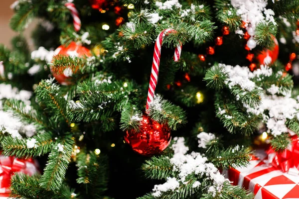 Kırmızı topları, karamel köpekler ile Noel ağacı görüntüsünü