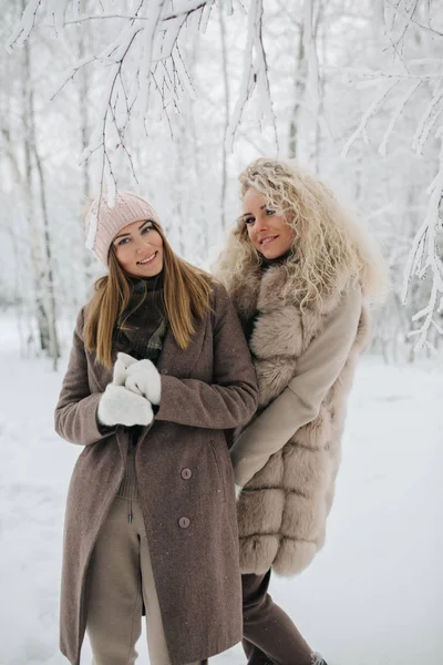 겨울 숲에서 산책 두 금발 여자의 사진 — 스톡 사진