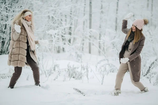 Wizerunek dwie blondynki rzucanie śniegiem na spacer w Las zima — Zdjęcie stockowe