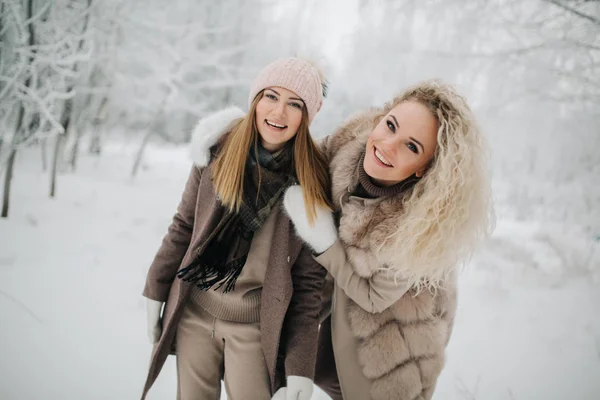Φωτογραφία: δύο ξανθές γυναίκες σε περίπατο στο δάσος του χειμώνα — Φωτογραφία Αρχείου