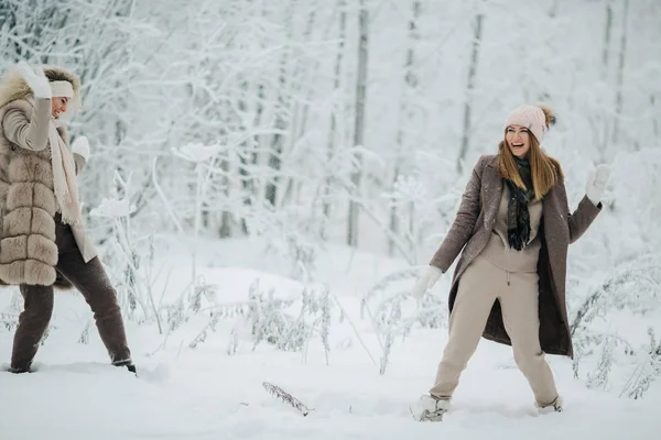 Imagem de duas loiras jogando neve no passeio na floresta de inverno — Fotografia de Stock