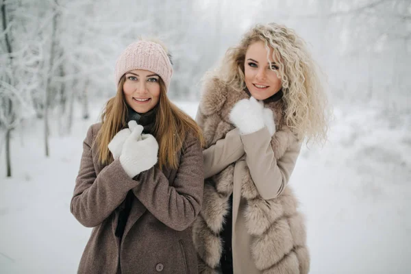 Photo de deux femmes blondes en promenade dans la forêt d'hiver — Photo