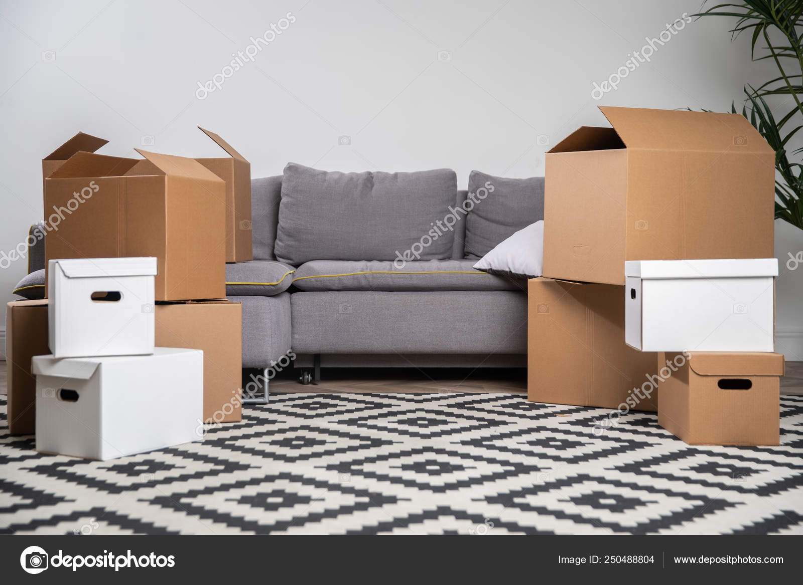 Kartons, graues Sofa, Teppich im Zimmer. - Stockfotografie: lizenzfreie  Fotos © 2s 250488804 | Depositphotos