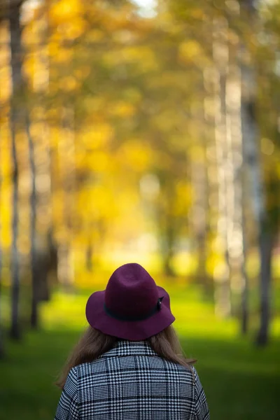 Foto de la espalda de la mujer en el sombrero  . — Foto de Stock