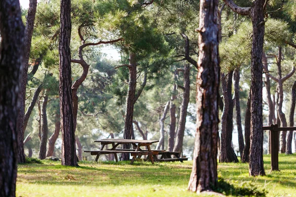 Foto di parco con alberi, panche di legno, tavolo . — Foto Stock