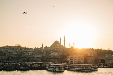 Bina, deniz, gün batımı sırasında uçan kuşlar ile kıyı bölgesi fotoğrafı