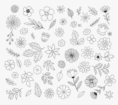 Hand Drawn Floral Design Elements. Doodle flower vector illustration.