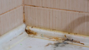 Banyonun köşesindeki fayanslarda kirli lekeler ve küfler var..