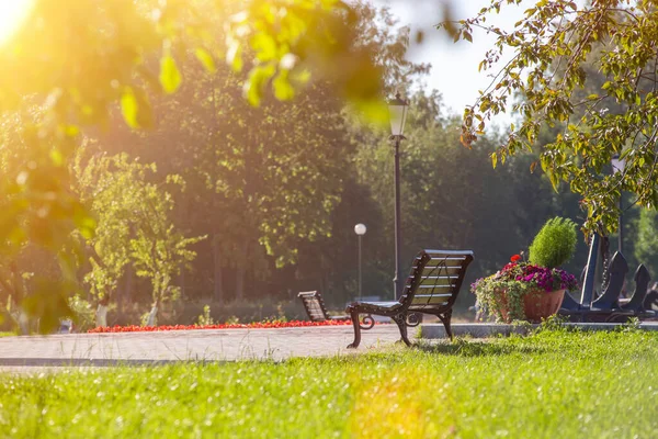 Güneşli bir havada bir yaz parkında boş bir bank. Rahatla konsept