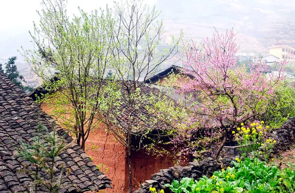 Giang Vietnam Stycznia 2019 Wiosna Proste Domy Kwitnące Brzoskwiniowe Drzewa — Zdjęcie stockowe