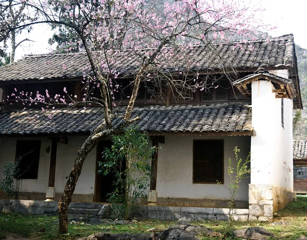 HA devi, VİETNAM, 16 Ocak 2019 İlkbaharda, basit evler, çiçek açan şeftali ağaçları, Vietnam 'ın en kuzeyindeki Ha Giang' ın bulunduğu kaya platosu.