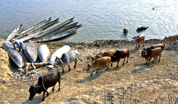 KON TUM, VIET NAM, 24 Kasım 2015 ahşap tekne, Dakla nehrinde, Gia Lai, çocuklar kürek çekiyor