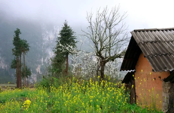 SA PA, LAO CAI, VIET NAM, 8 Nisan 2020 bahar manzarası, Sapa yüksek dağları, Lao Cai bölgesi,