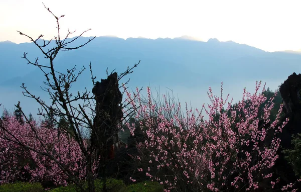 SA PA, LAO CAI, VIET NAM, 8 Nisan 2020 bahar manzarası, Sapa yüksek dağları, Lao Cai bölgesi,