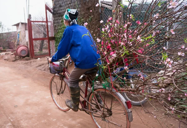 Nhat Tan Melocotón Jardín Suburbano Noi Vietnam Primavera — Foto de Stock