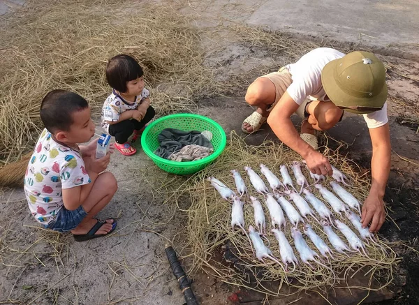 babalar ve çocuklar, kırsal Hai Duong, Vietnam, ateş (THUI) birçok tarla faresi olarak adlandırılır, bu onların en sevdiği yemektir.