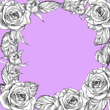 Çiçekli yaratıcı kompozisyon. Pembe arka planda bir gül çerçevesi. Dekoratif desen, Sevgililer Günü kartı.