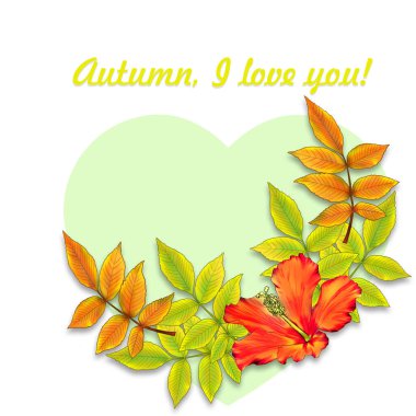 Ağaç yaprağı görüntüsü olan yaratıcı bir kompozisyon. Sonbahar temalı bir illüstrasyon. Çok renkli yapraklar yakın plan. Kağıt ya da kumaşa yazdırmak için arkaplan ya da çizim.