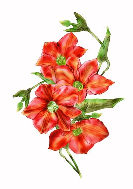 Bahçe çiçeklerinin resmedildiği yaratıcı kompozisyon. Bahar ve yaz çiçekleri beyaz bir arkaplanda, suluboya taklidi, klasik. Kağıt ya da kumaş üzerine yazdırmak için tasarla.