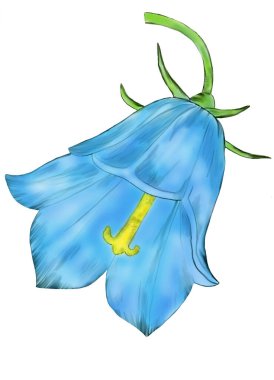 Bahçe çiçeklerinin resmedildiği yaratıcı kompozisyon. Bahar ve yaz çiçekleri beyaz bir arkaplanda, suluboya taklidi, klasik. Kağıt ya da kumaş üzerine yazdırmak için tasarla.