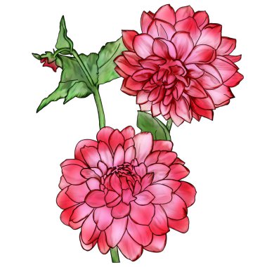 Bahçe çiçeklerinin resmedildiği yaratıcı kompozisyon. Bahar ve yaz çiçekleri beyaz bir arkaplanda, suluboya taklidi, klasik. Kağıt ya da kumaş üzerine yazdırmak için tasarla.