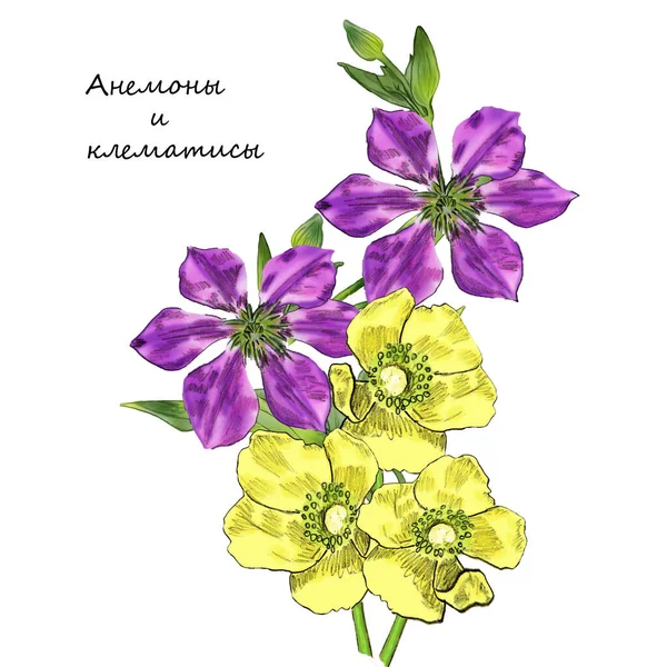 Kreatywna Kompozycja Wizerunkiem Kwiatów Ogrodowych Wiosna Lato Kwiaty Blisko Góry — Zdjęcie stockowe